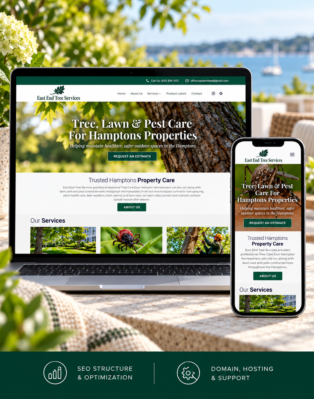 Professional web design by Apexx Advertising